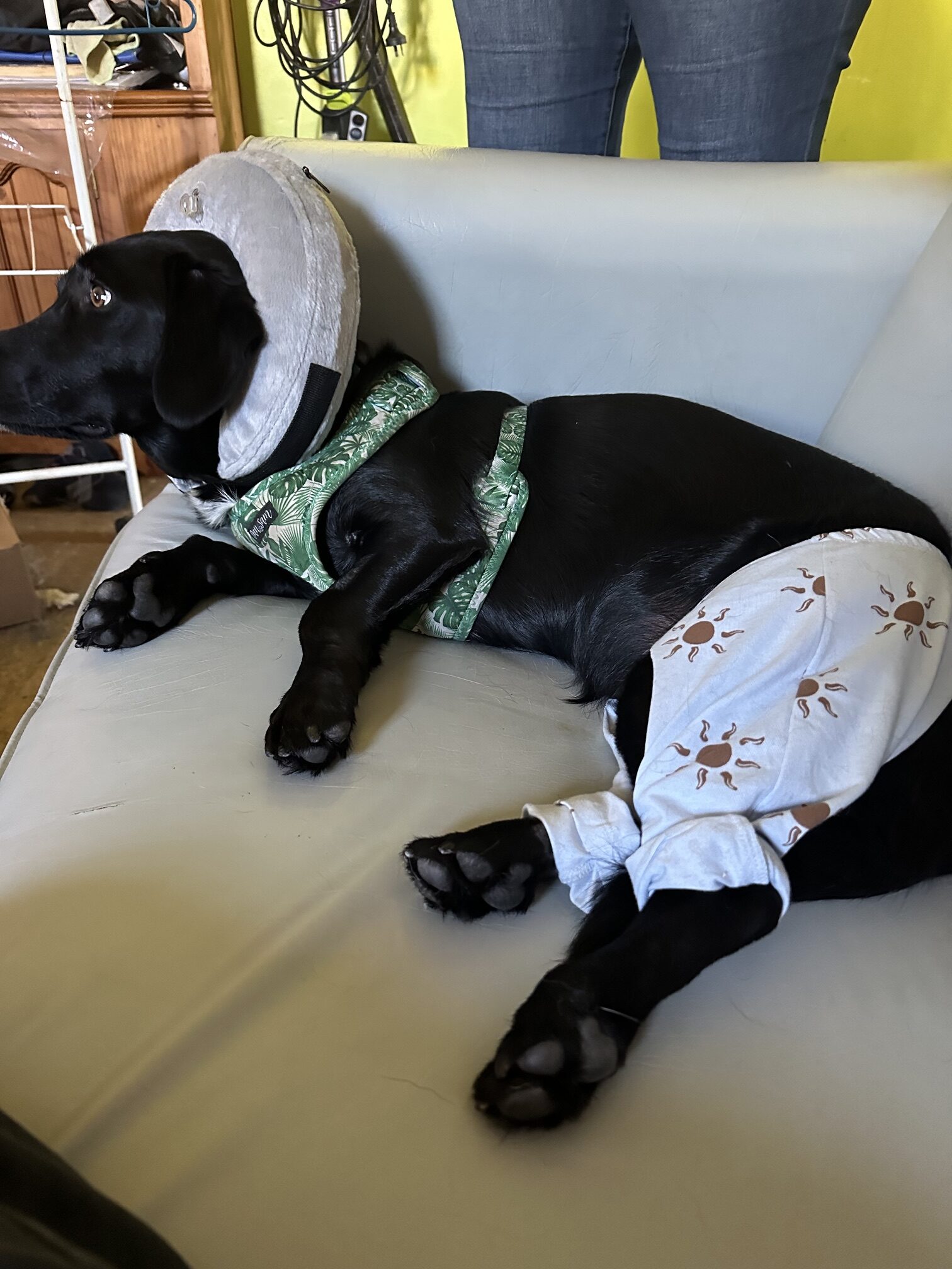 Astro Surgery Update
